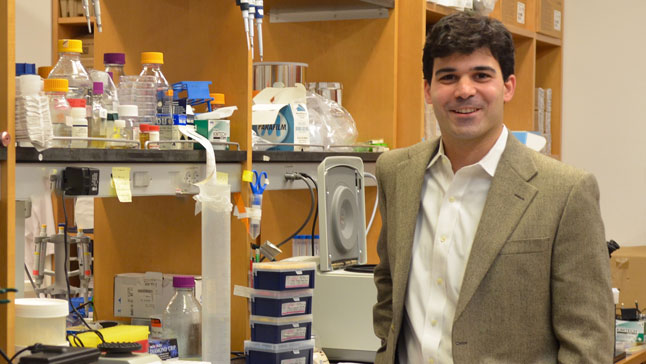 Dr. Paul Riegelhaupt in the lab.