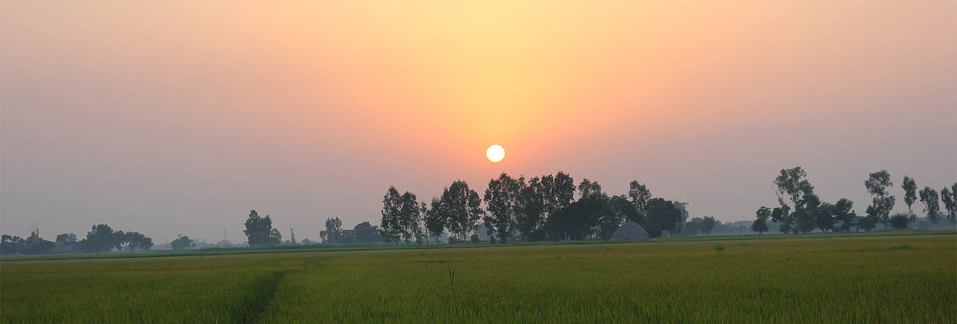 Punjab, India