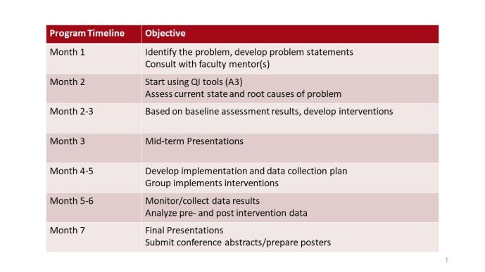 qps_progam_timeline